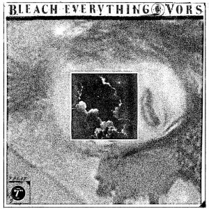 Bleach Everything 1