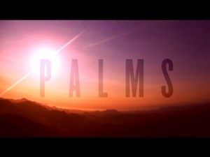 Palms 1