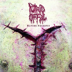 Putrid Offal album