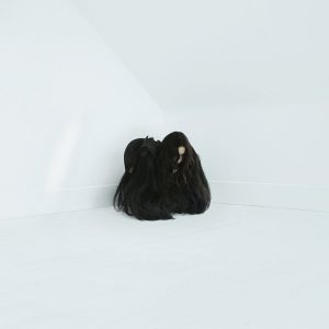 hiss spun